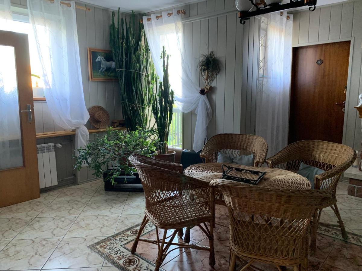 Pokoje Goscinne U Barbary Władysławowo Exteriér fotografie